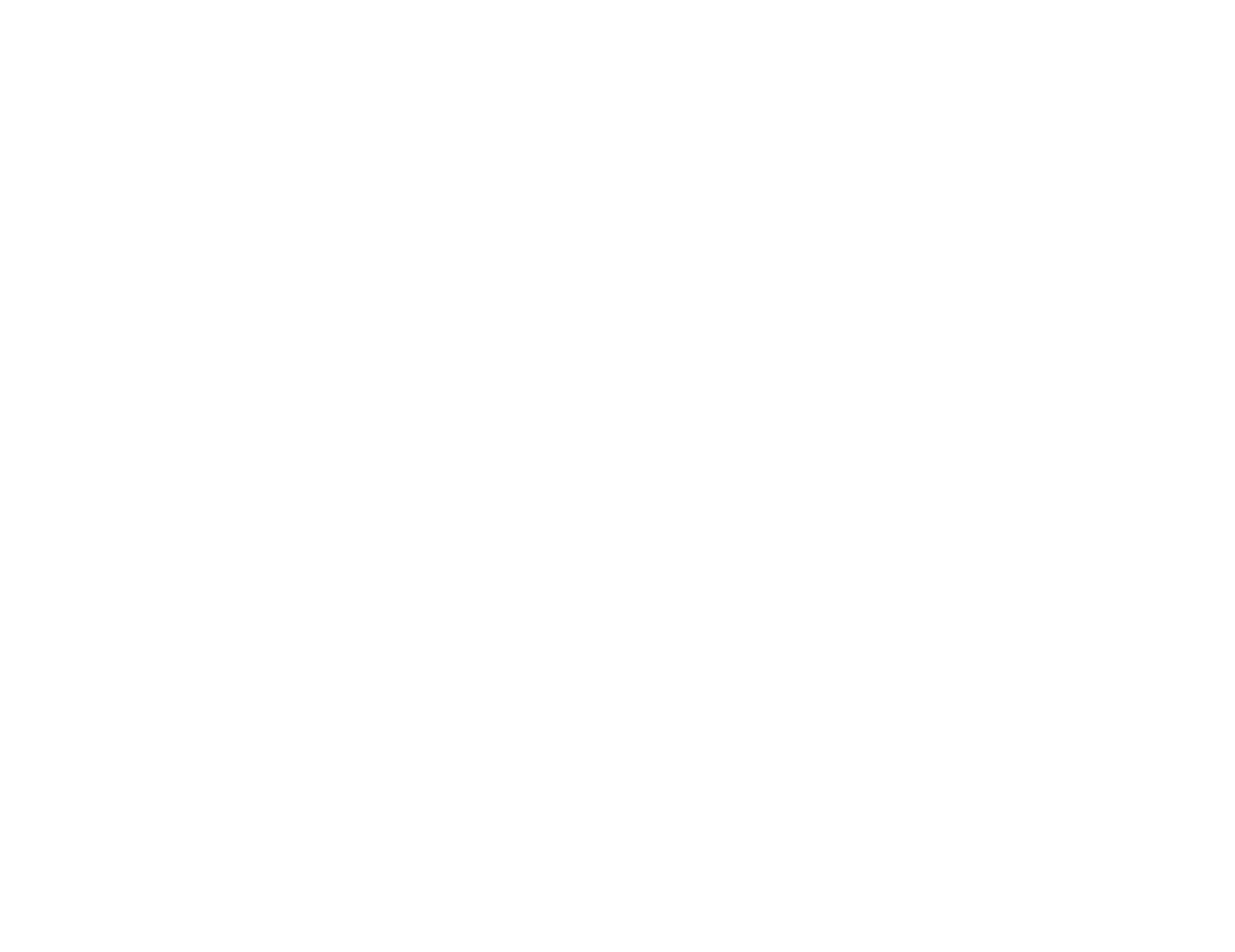 LOGO WHITE with website